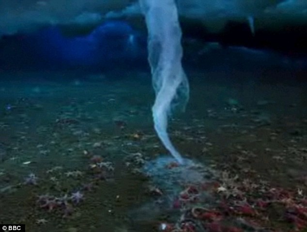 Xoáy nước băng nhìn từ dưới đáy biển